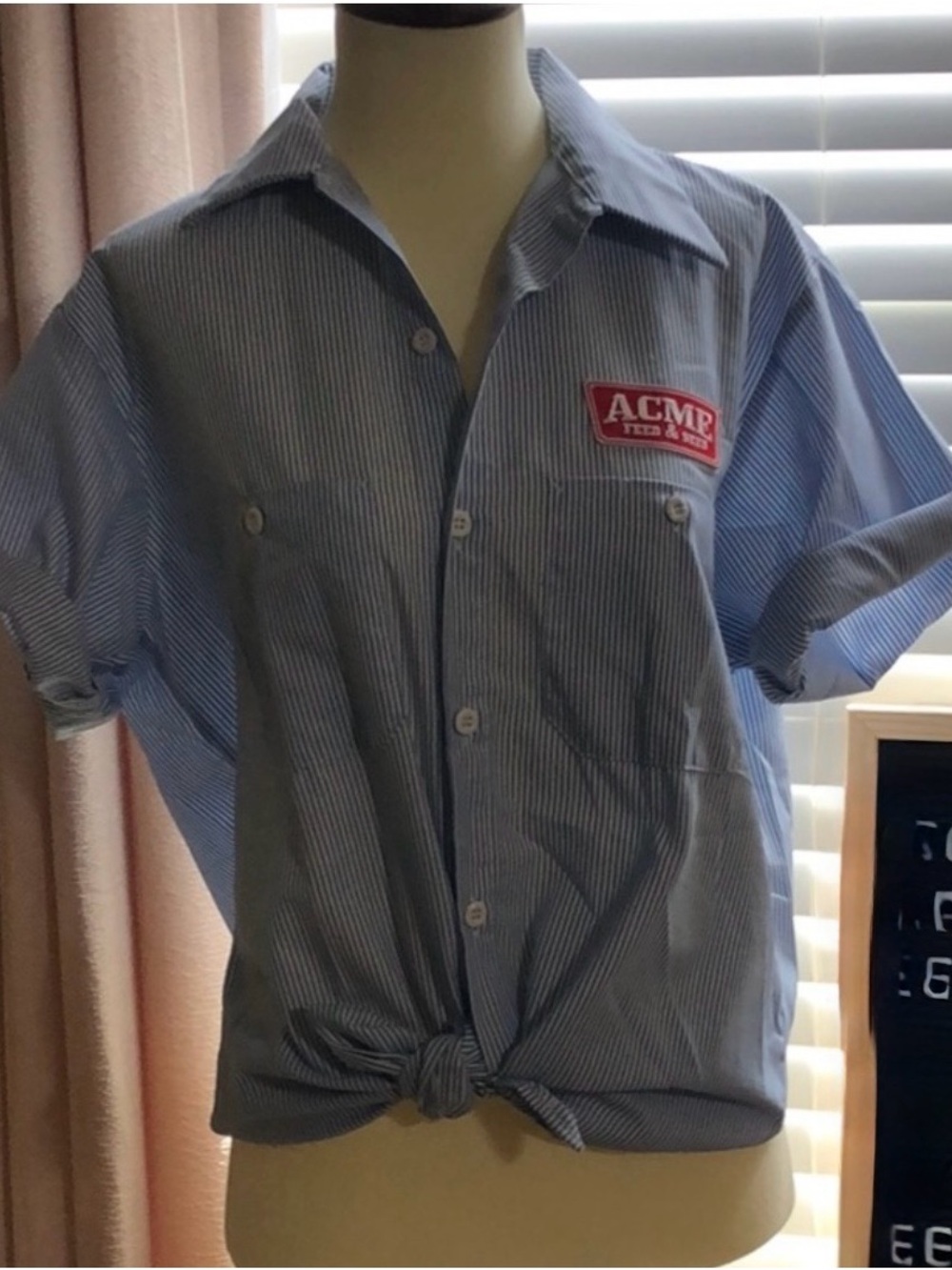Y2K Vintage ACME Light Blue Pinstripe Short-Sleeve Button-Front Shirt